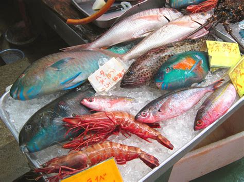 沖縄といえば 食べ物 ～ 海の幸と島の味覚を探る旅